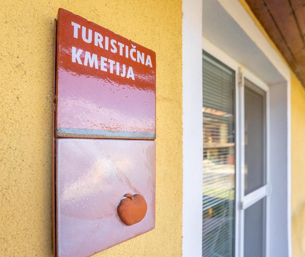 Fortun Estate - Apartmaji Ob Reki Kolpi Metlika Εξωτερικό φωτογραφία